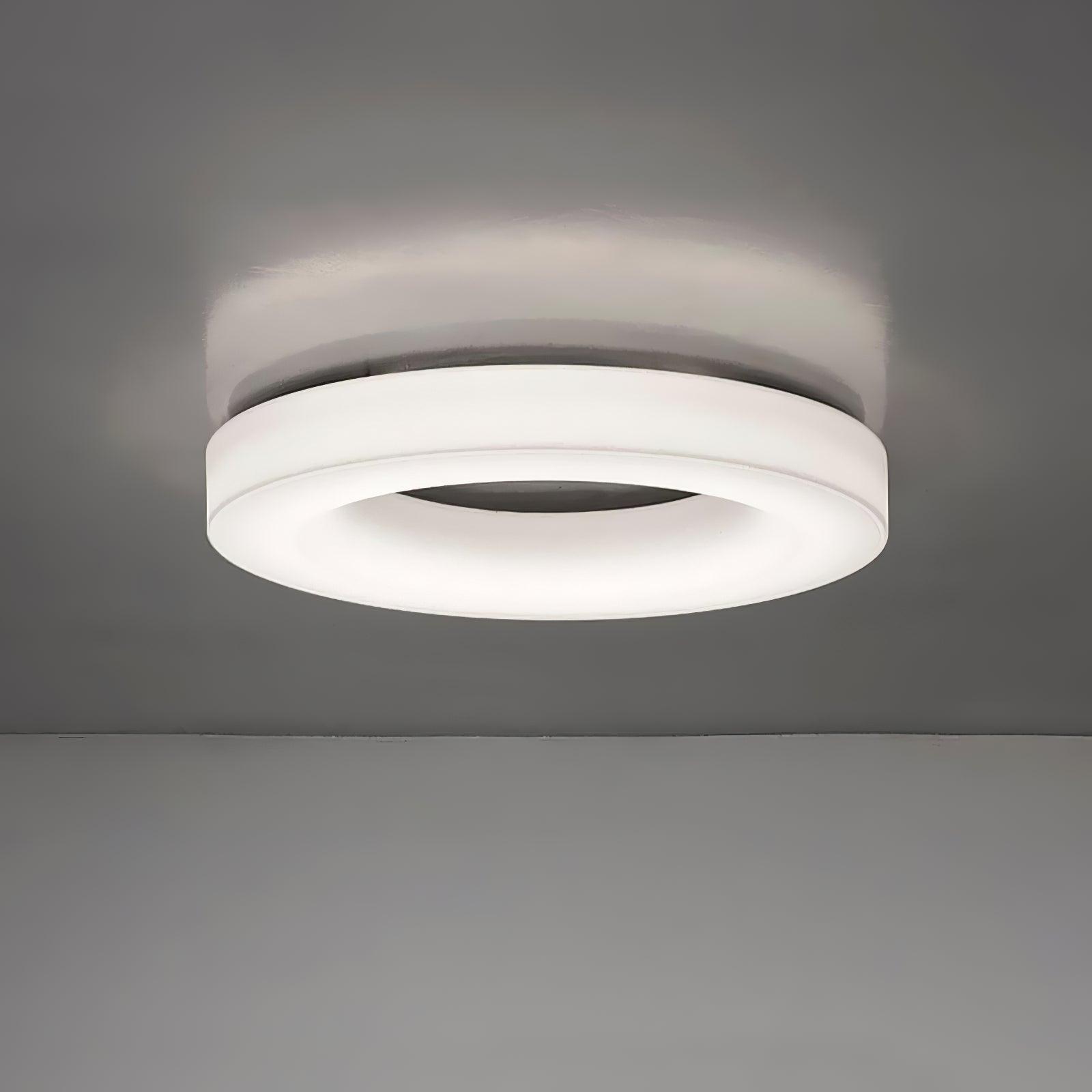 Erraeiel Lampe Plafonnier Artistique Moderne Minimaliste - Neutralighting