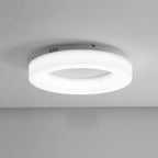 Erraeiel Lampe Plafonnier Artistique Moderne Minimaliste - Neutralighting