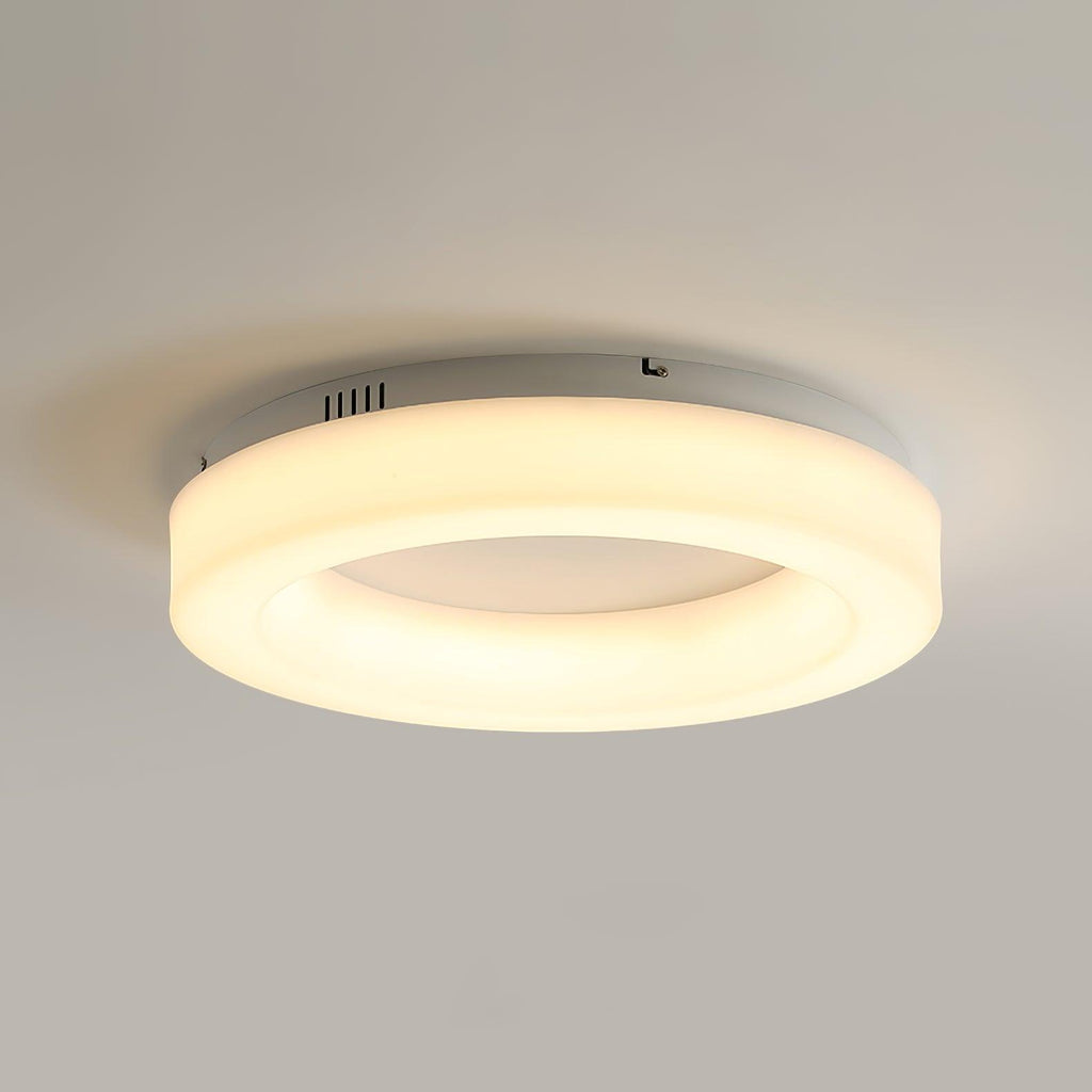 Erraeiel Lampe Plafonnier Artistique Moderne Minimaliste - Neutralighting