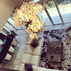 Olivia Chandelier en Céramique Feuilles de Ginkgo aux Courbes Organiques - Neutralighting