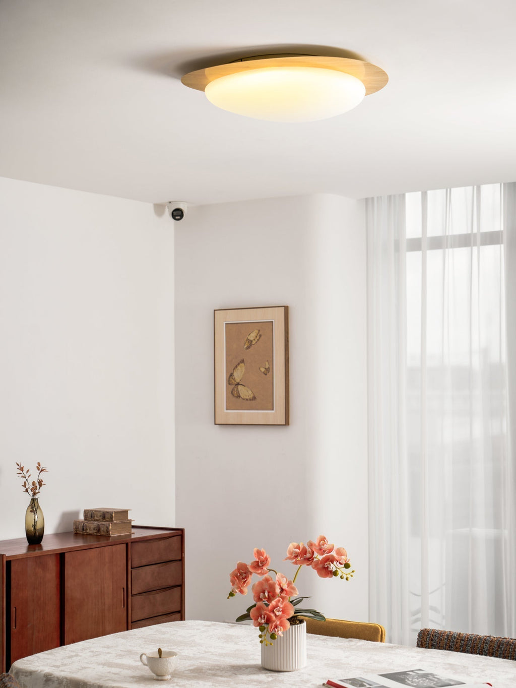Solara Plafonnier Galet en Noyer Acrylique LED - Neutralighting