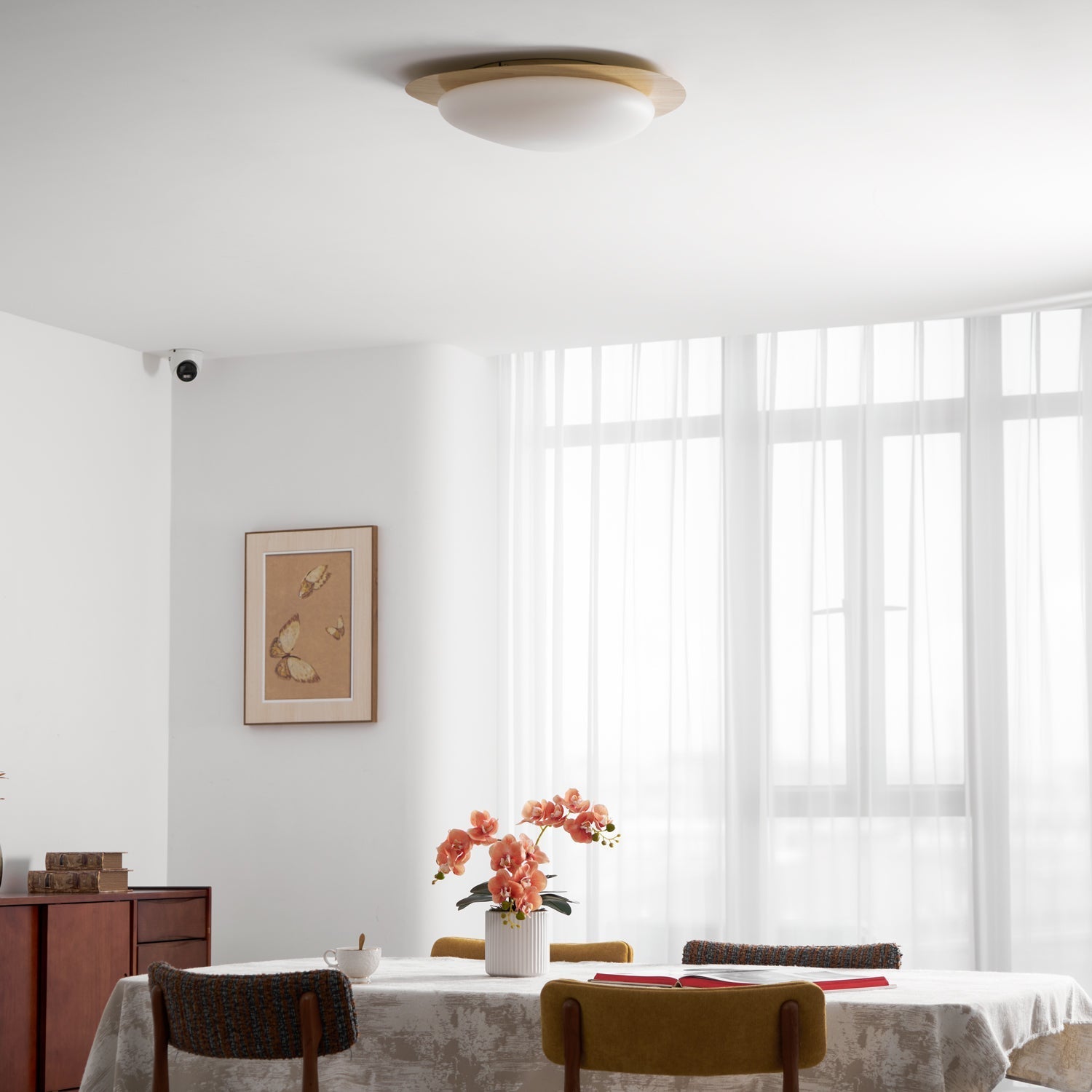 Solara Plafonnier Galet en Noyer Acrylique LED - Neutralighting
