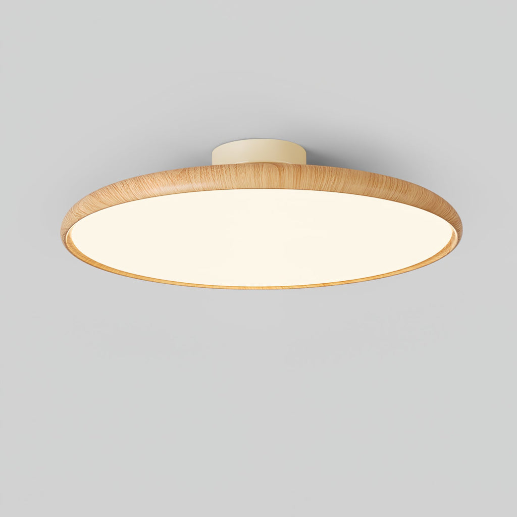 Ishaos Moderne Minimaliste Réglable Plafonnier - Neutralighting