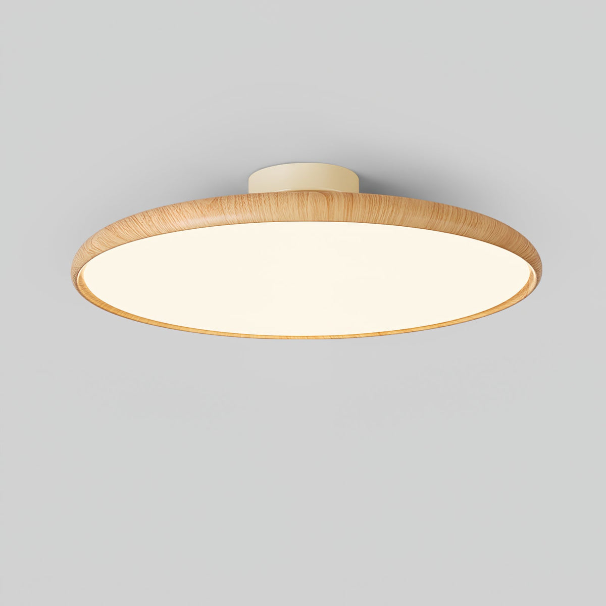 Ishaos Moderne Minimaliste Réglable Plafonnier - Neutralighting