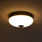 Ludo Plafonnier Laité Verre Laiton Accent Classique - Neutralighting