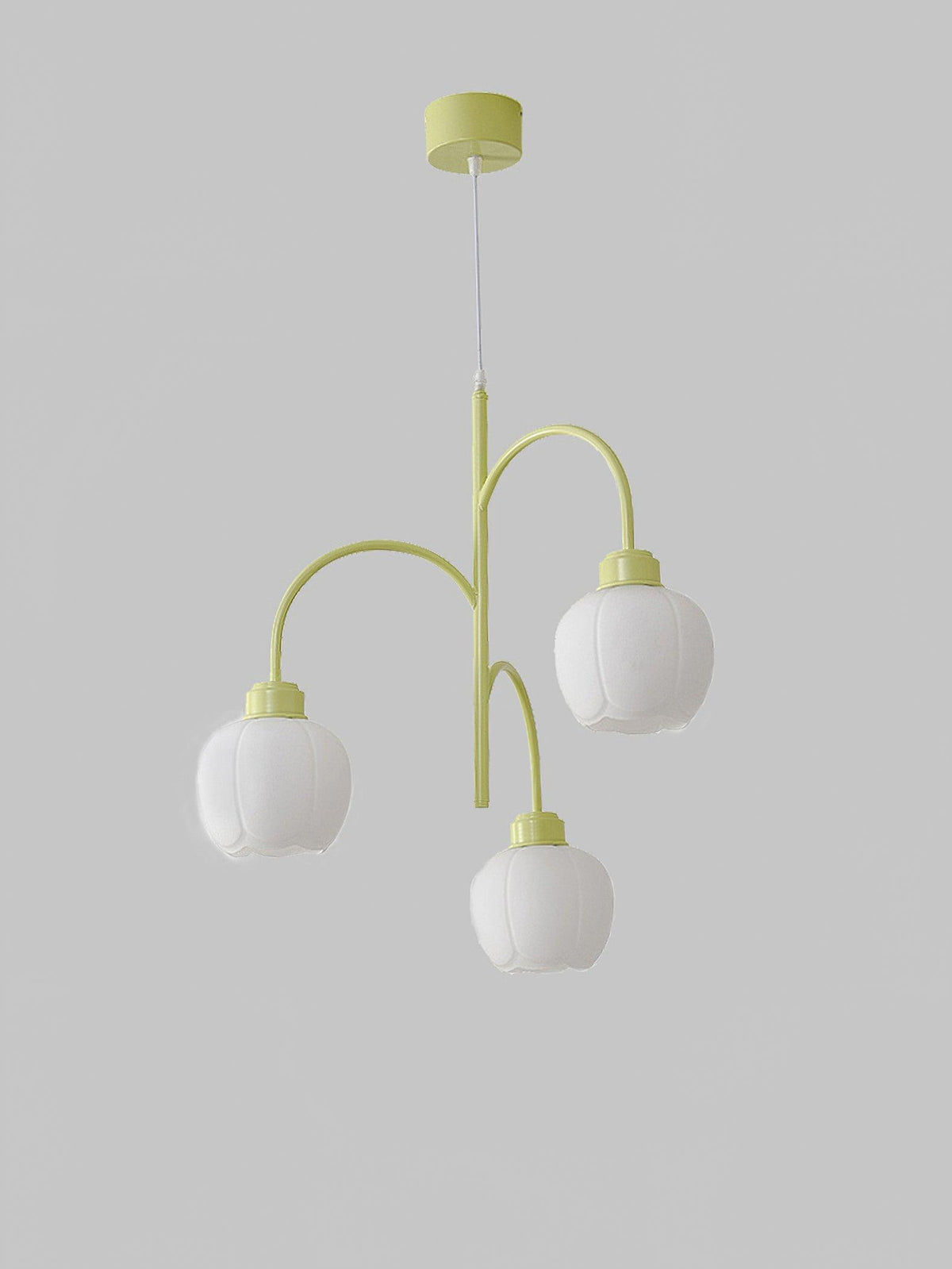 Aurora Lustre Moderne en Forme de Pétales - Neutralighting