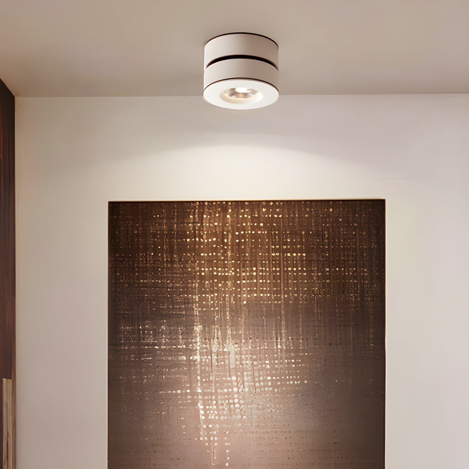 Colorara Plafonnier à LED Réglable Surface - Neutralighting