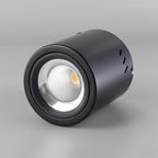 Lustra Projecteur Maxi Rebel à Montage Surface - Neutralighting