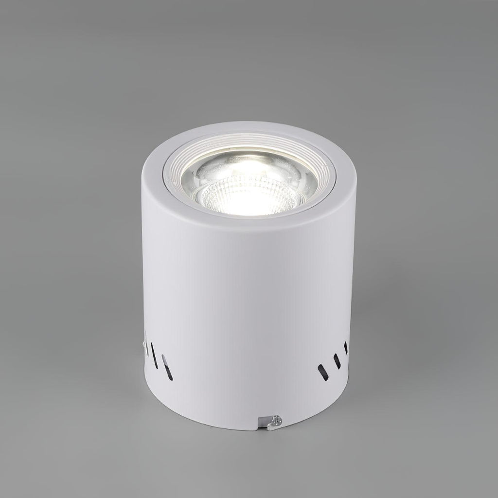 Lustra Projecteur Maxi Rebel à Montage Surface - Neutralighting