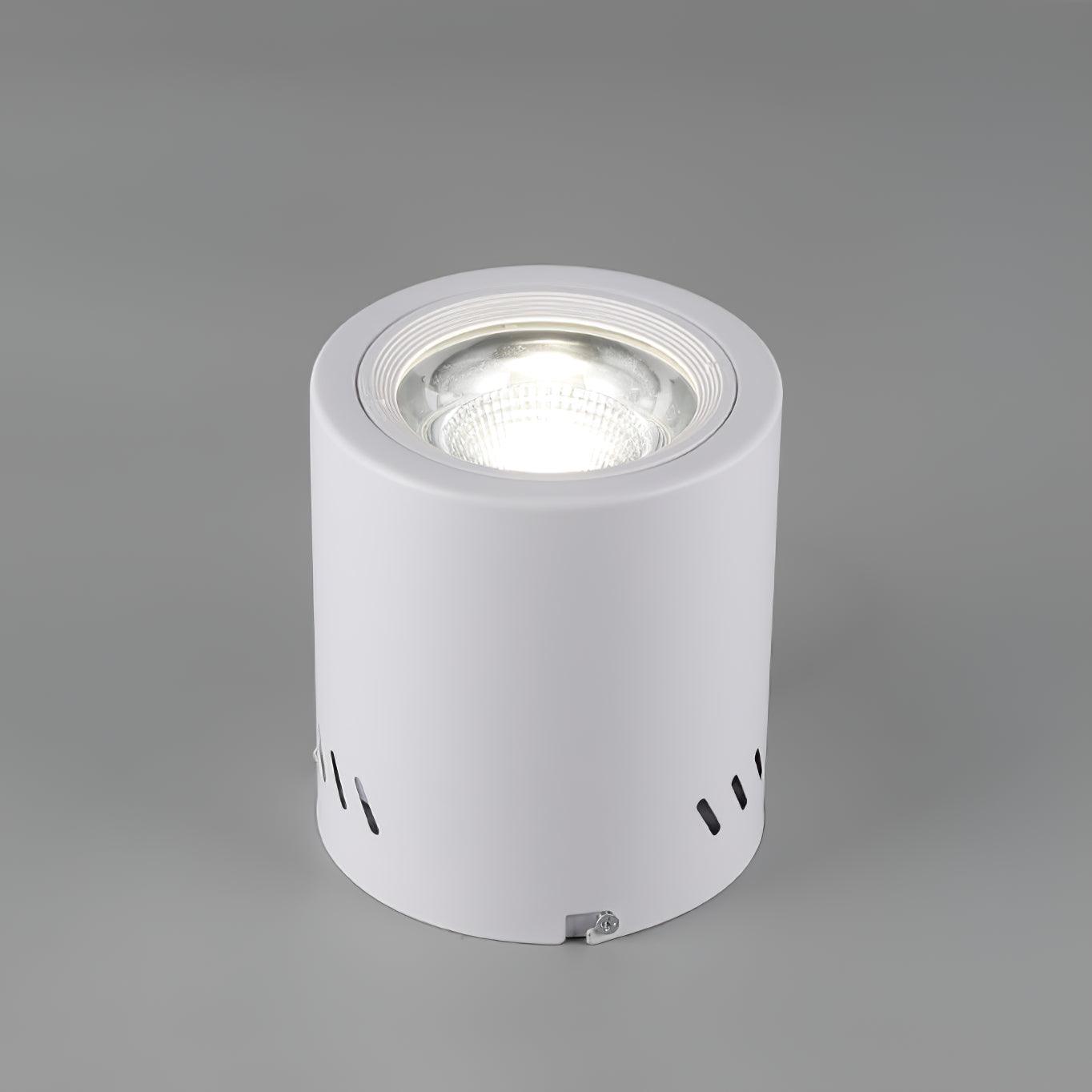 Lustra Projecteur Maxi Rebel à Montage Surface - Neutralighting
