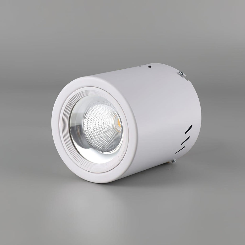 Lustra Projecteur Maxi Rebel à Montage Surface - Neutralighting