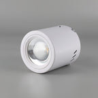 Lustra Projecteur Maxi Rebel à Montage Surface - Neutralighting