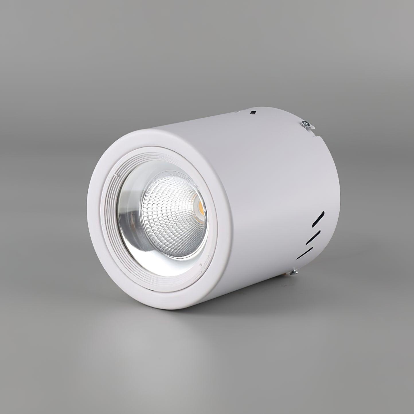 Lustra Projecteur Maxi Rebel à Montage Surface - Neutralighting