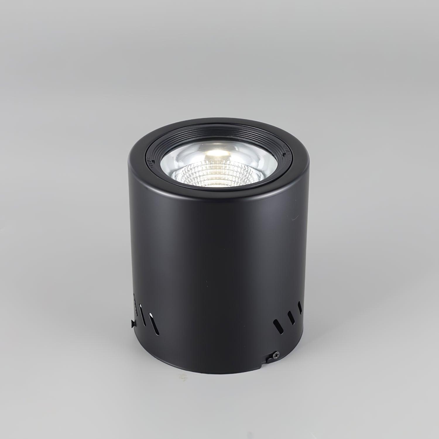 Lustra Projecteur Maxi Rebel à Montage Surface - Neutralighting