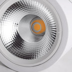 Lustra Projecteur Maxi Rebel à Montage Surface - Neutralighting