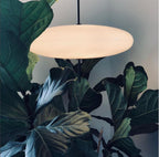 Lustra Suspension Noir Peint Réuni pour Salon - Neutralighting