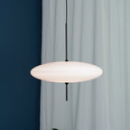 Lustra Suspension Noir Peint Réuni pour Salon - Neutralighting