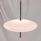 Lustra Suspension Noir Peint Réuni pour Salon - Neutralighting
