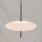 Lustra Suspension Noir Peint Réuni pour Salon - Neutralighting