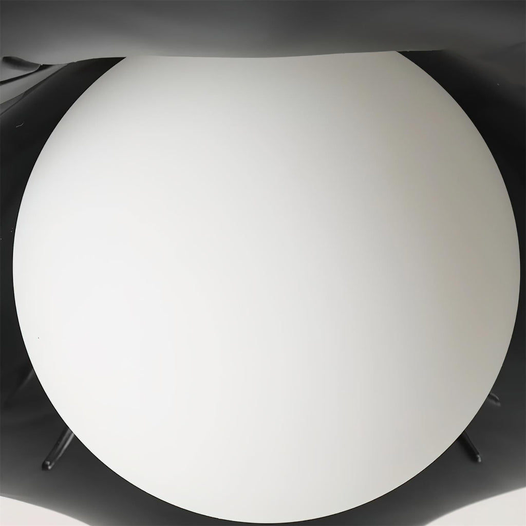 Monae Lumière de Plafond Pétale Globe Noir - Neutralighting