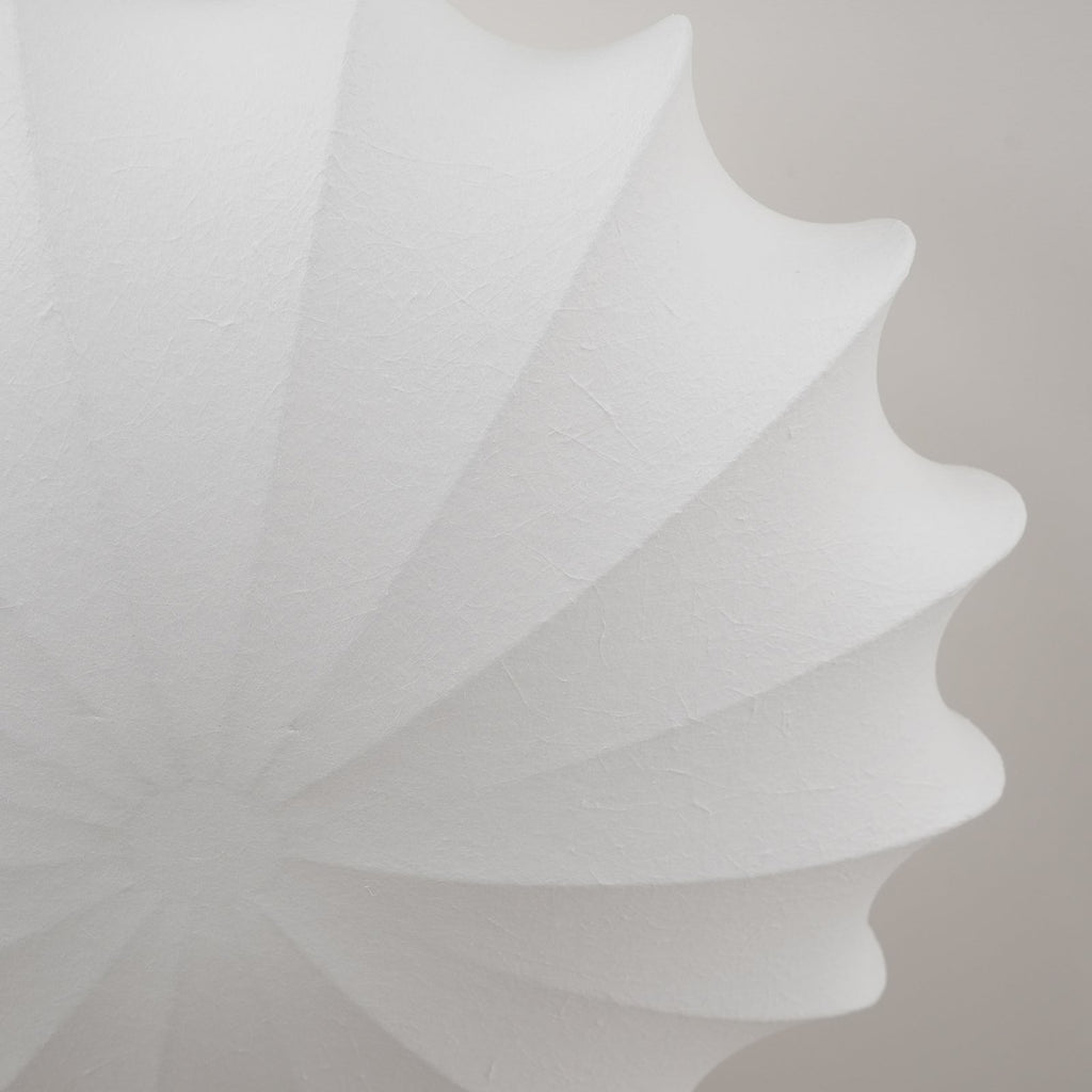 Blan Plafonnier Coquillage Minimaliste - Neutralighting