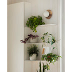 Ovyna Applique Murale Moderne Minimaliste en Verre et Onyx - Neutralighting