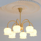 Lustra Chandelier Laiton Bras Courbé Élégant - Neutralighting
