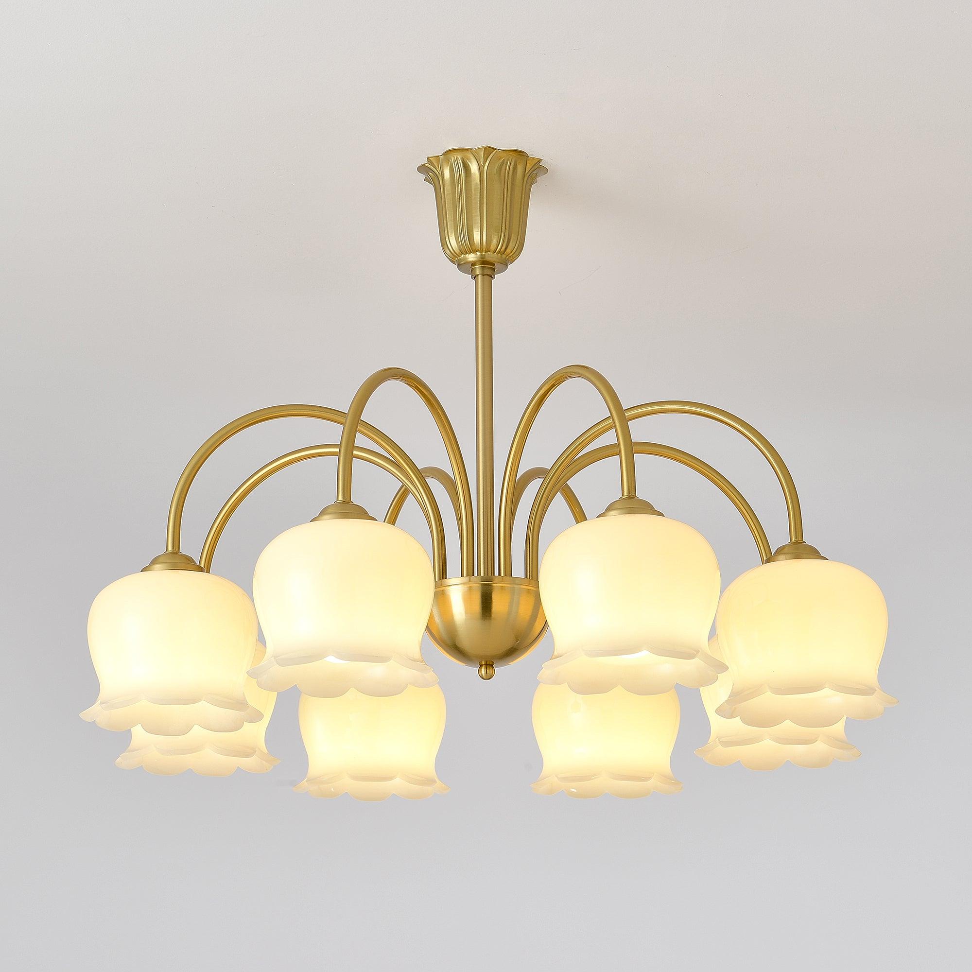 Lustra Chandelier Laiton Bras Courbé Élégant - Neutralighting