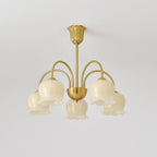 Lustra Chandelier Laiton Bras Courbé Élégant - Neutralighting