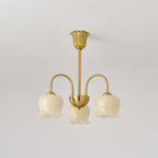 Lustra Chandelier Laiton Bras Courbé Élégant - Neutralighting