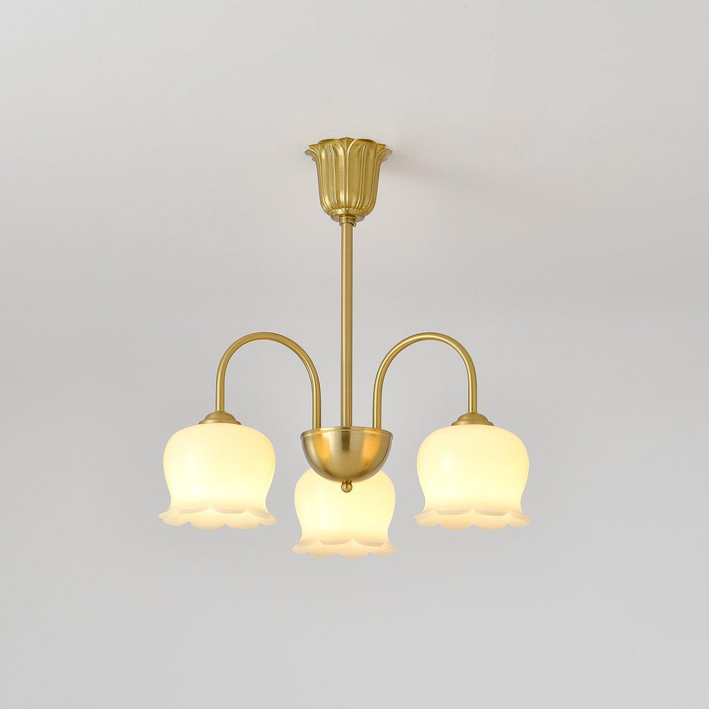 Lustra Chandelier Laiton Bras Courbé Élégant - Neutralighting