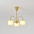 Lustra Chandelier Laiton Bras Courbé Élégant - Neutralighting