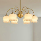 Lustra Chandelier Laiton Bras Courbé Élégant - Neutralighting
