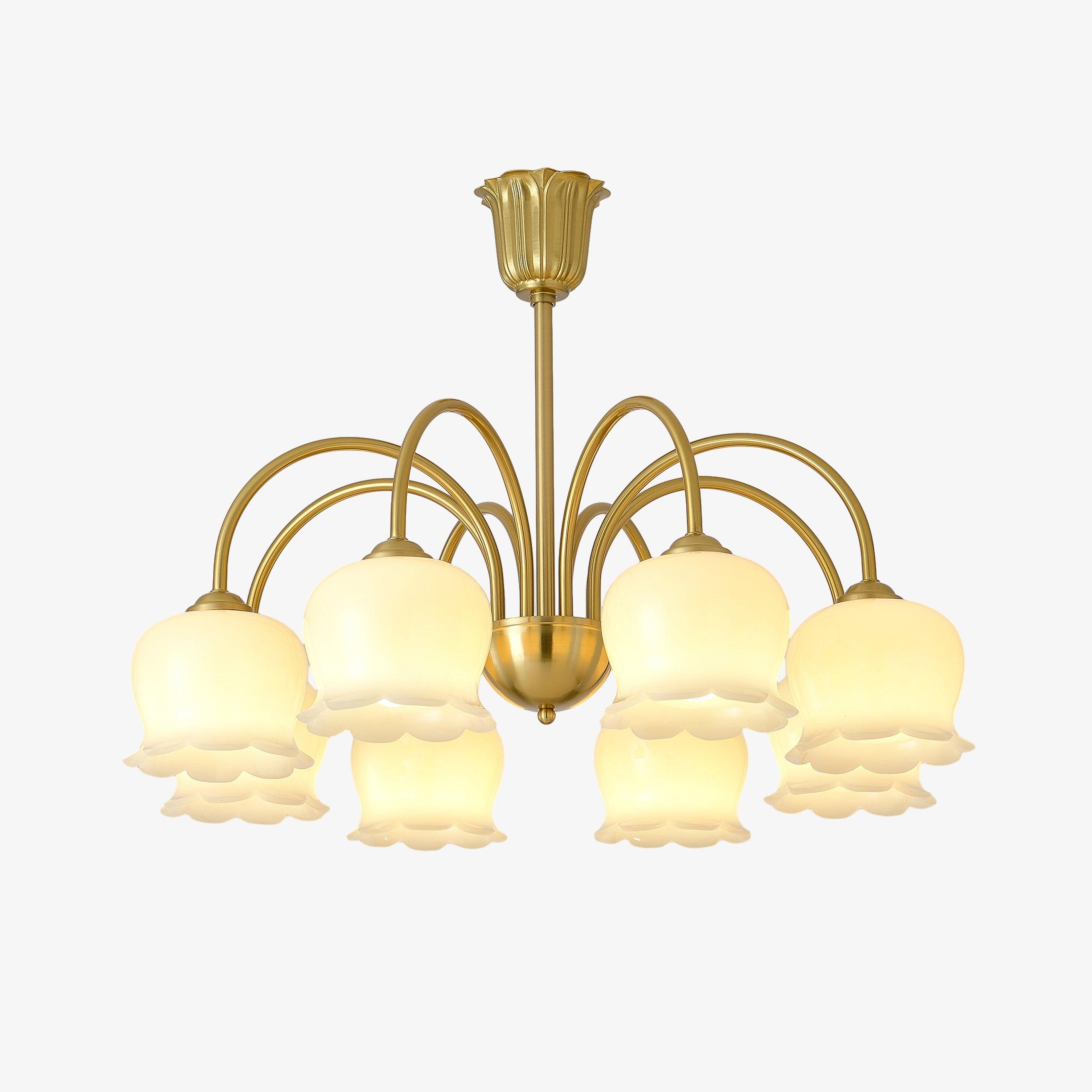 Lustra Chandelier Laiton Bras Courbé Élégant - Neutralighting