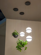 Vacaria Suspension Métal Plastique Minimaliste Moderne - Neutralighting