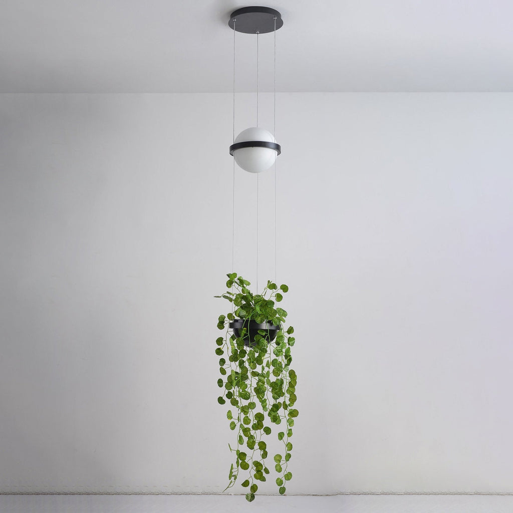 Xenith Lampe Pendante Contemporaine en Acrylique - Neutralighting