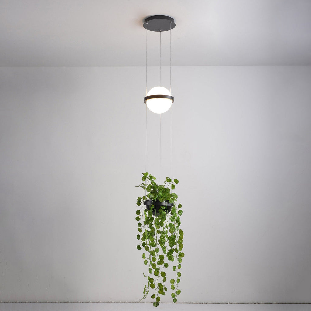 Xenith Lampe Pendante Contemporaine en Acrylique - Neutralighting