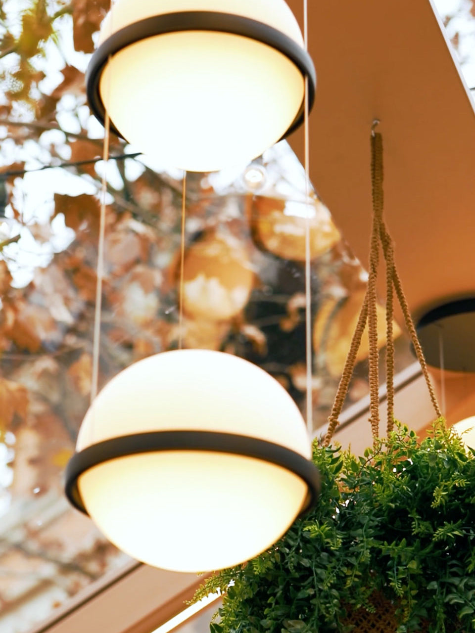 Xenith Lampe Pendante Contemporaine en Acrylique - Neutralighting