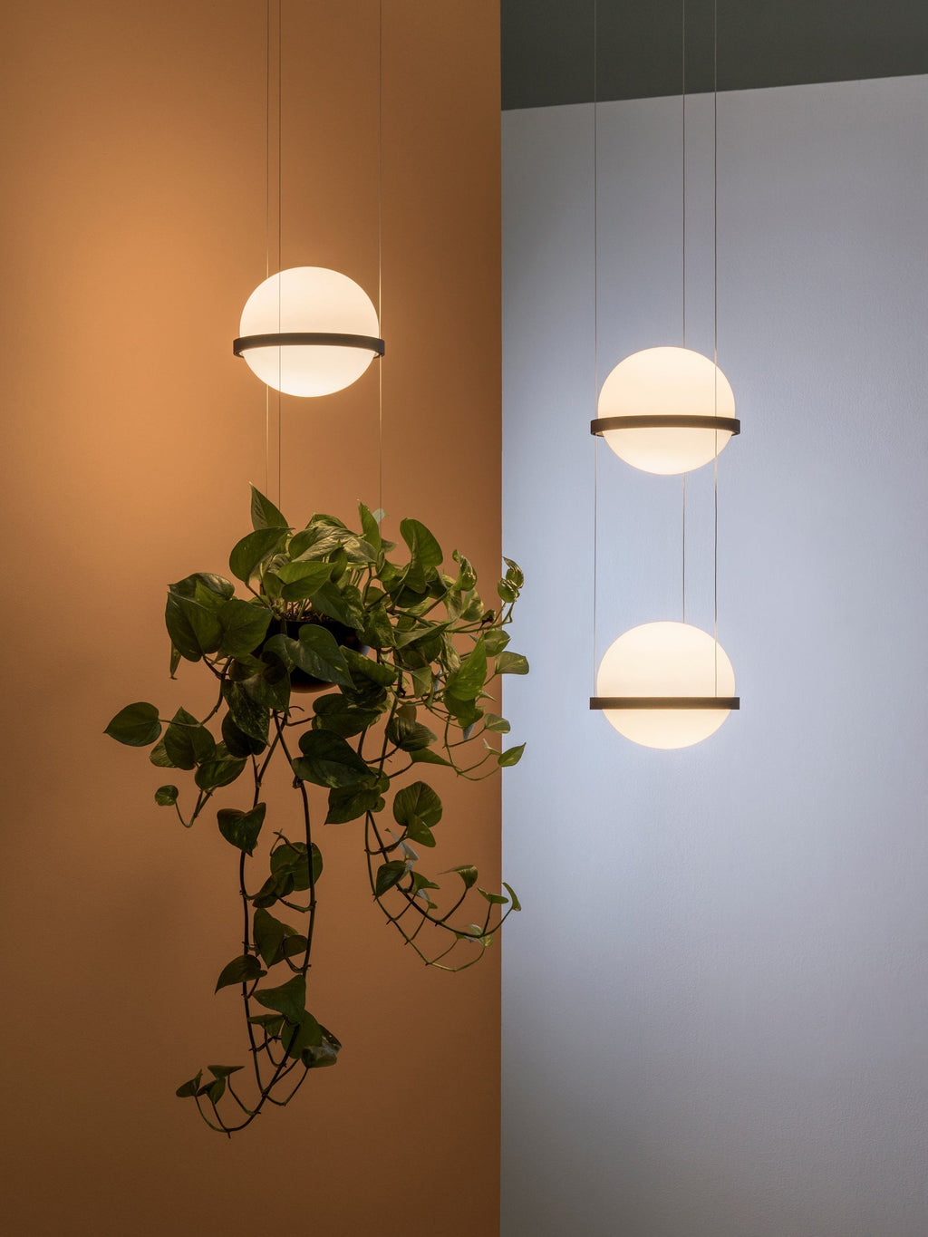 Xenith Lampe Pendante Contemporaine en Acrylique - Neutralighting