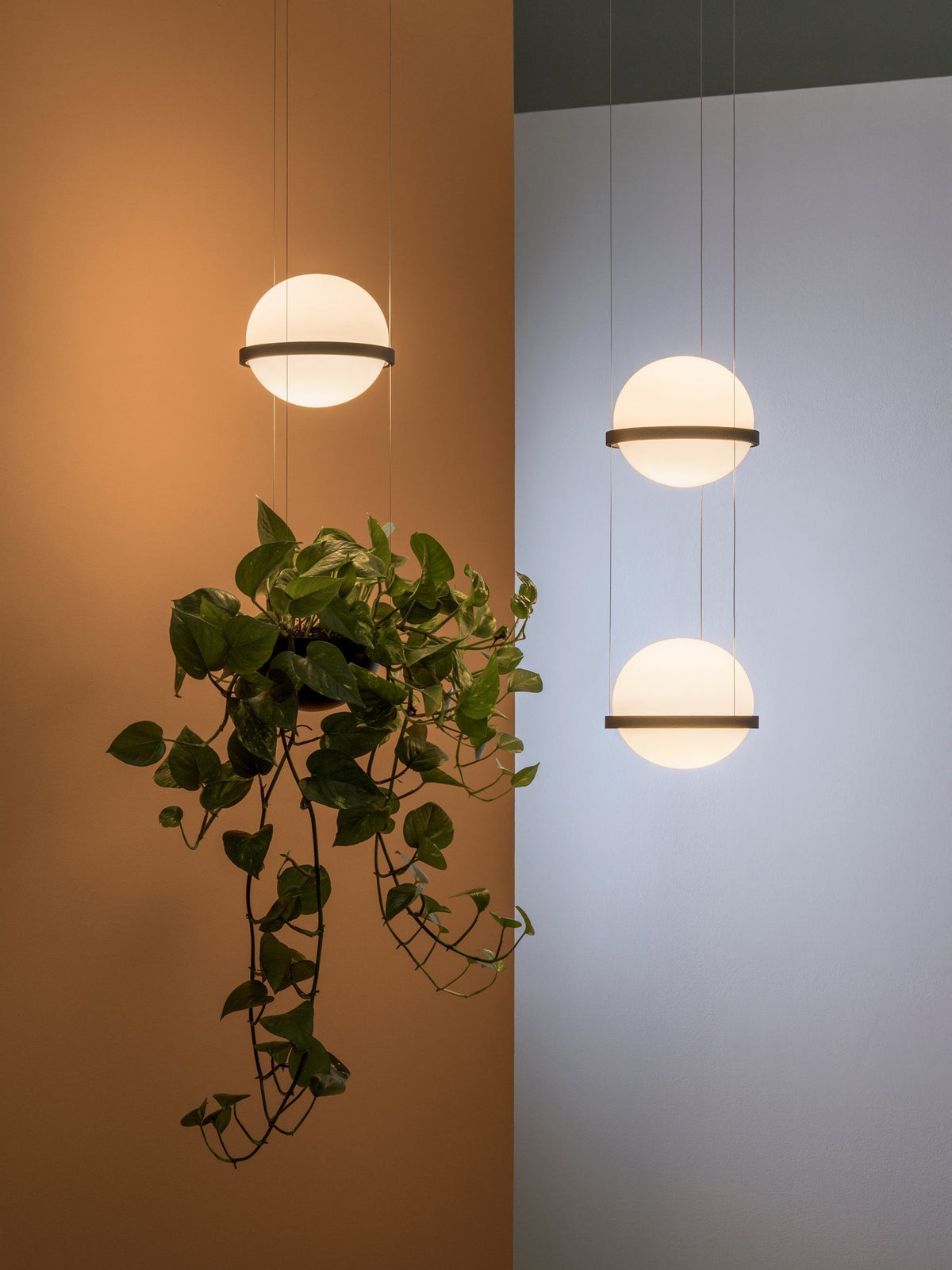 Xenith Lampe Pendante Contemporaine en Acrylique - Neutralighting