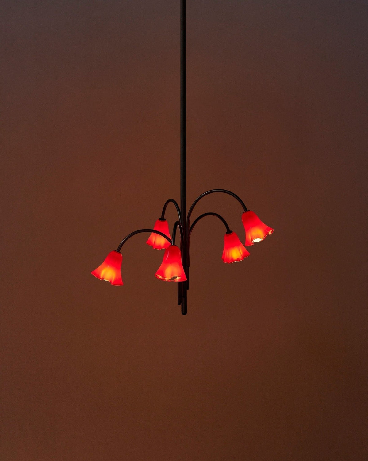 Aurora Lustre Floraison Pétale Verre Bras - Neutralighting