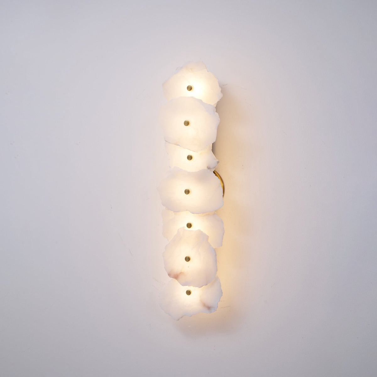 Alaeila Applique Murale en Albâtre avec Rameau Floral - Neutralighting