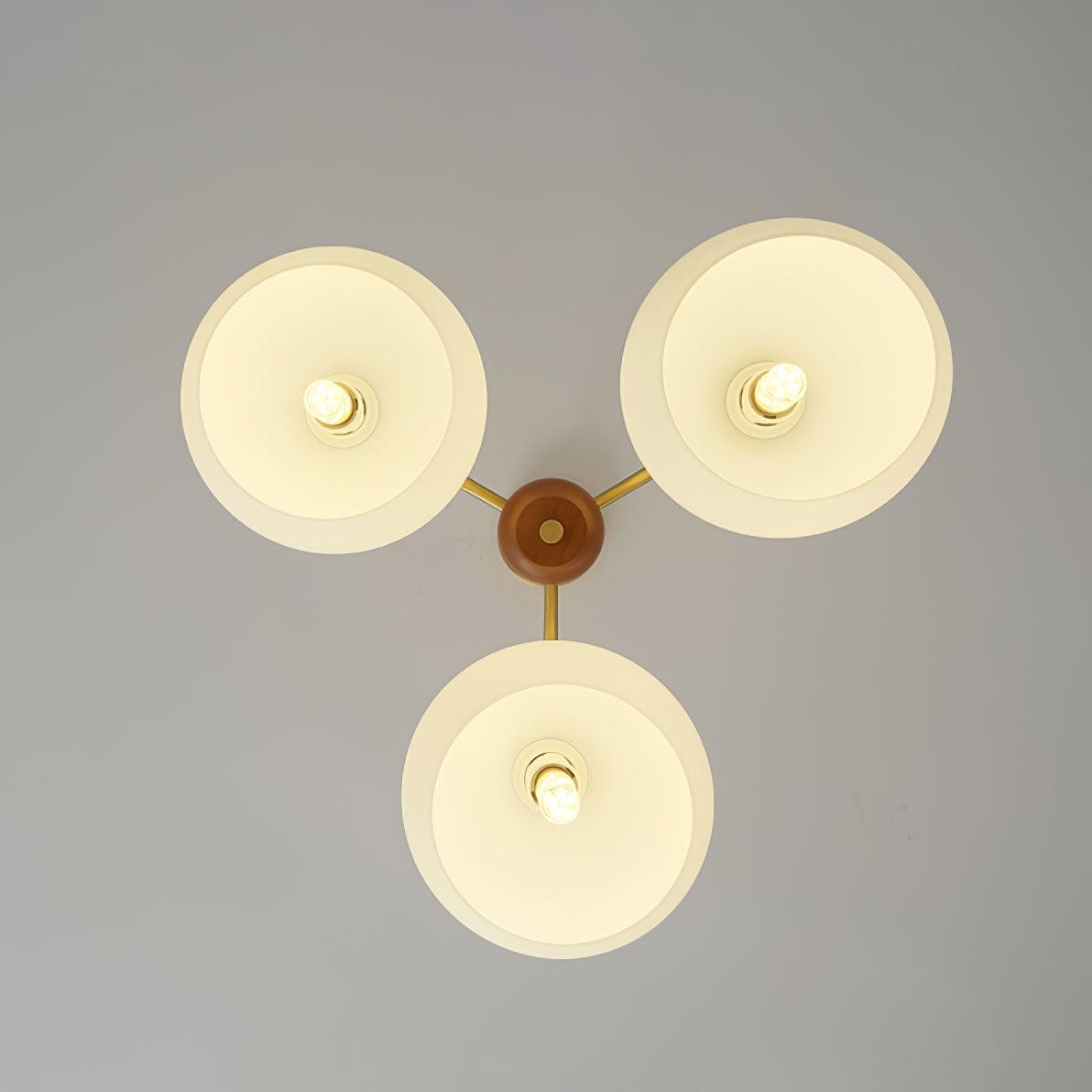 Raito Lustre Dôme en Verre Bois Laiton - Neutralighting
