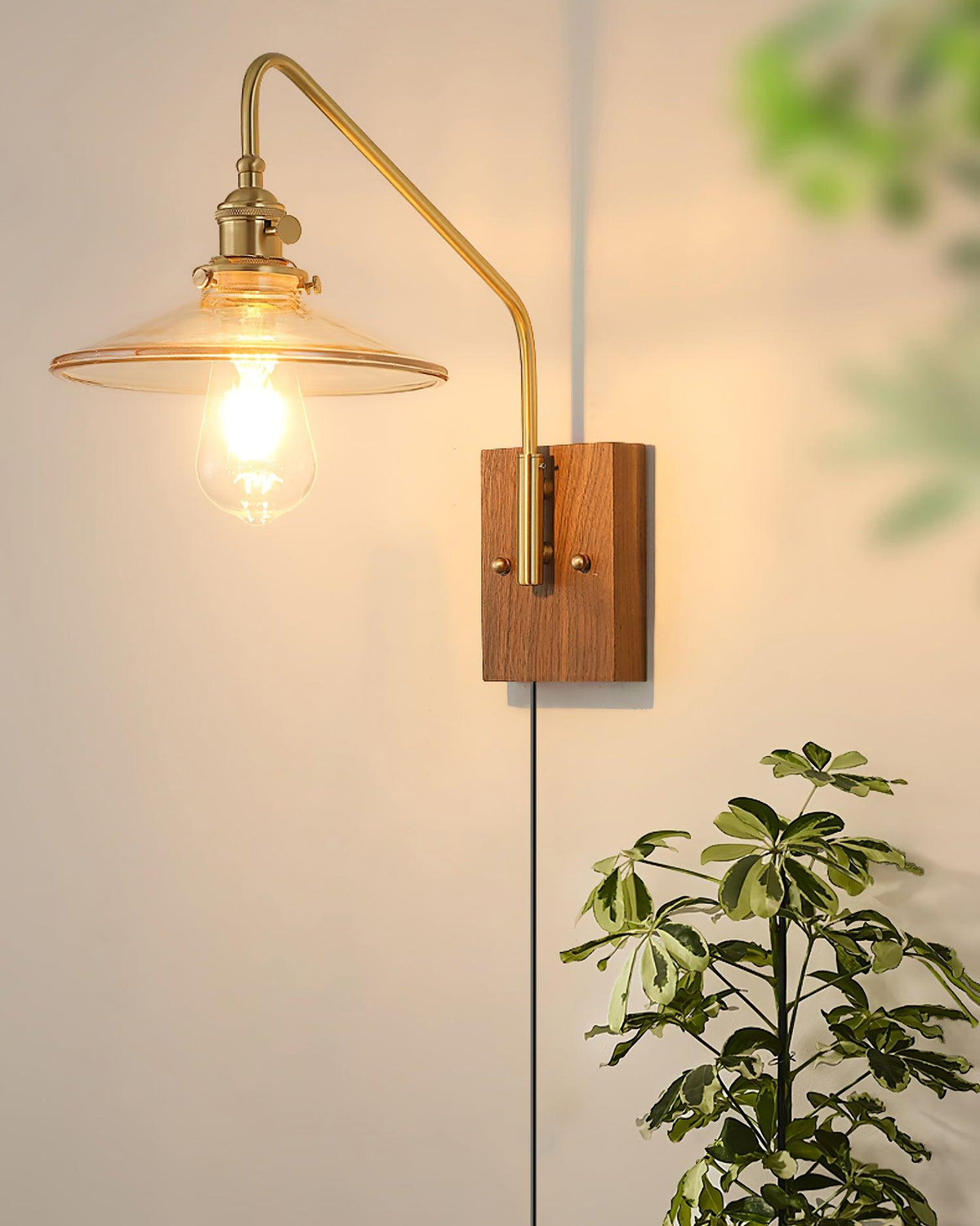 Haloen Applique murale rétro à brancher avec laiton, élégance française en noyer - Neutralighting