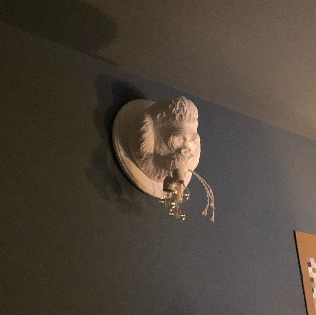 Veleda Applique Murale en Résine Premium Élégance - Neutralighting