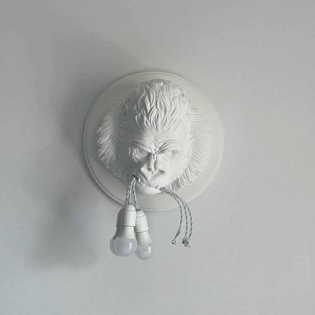 Veleda Applique Murale en Résine Premium Élégance - Neutralighting