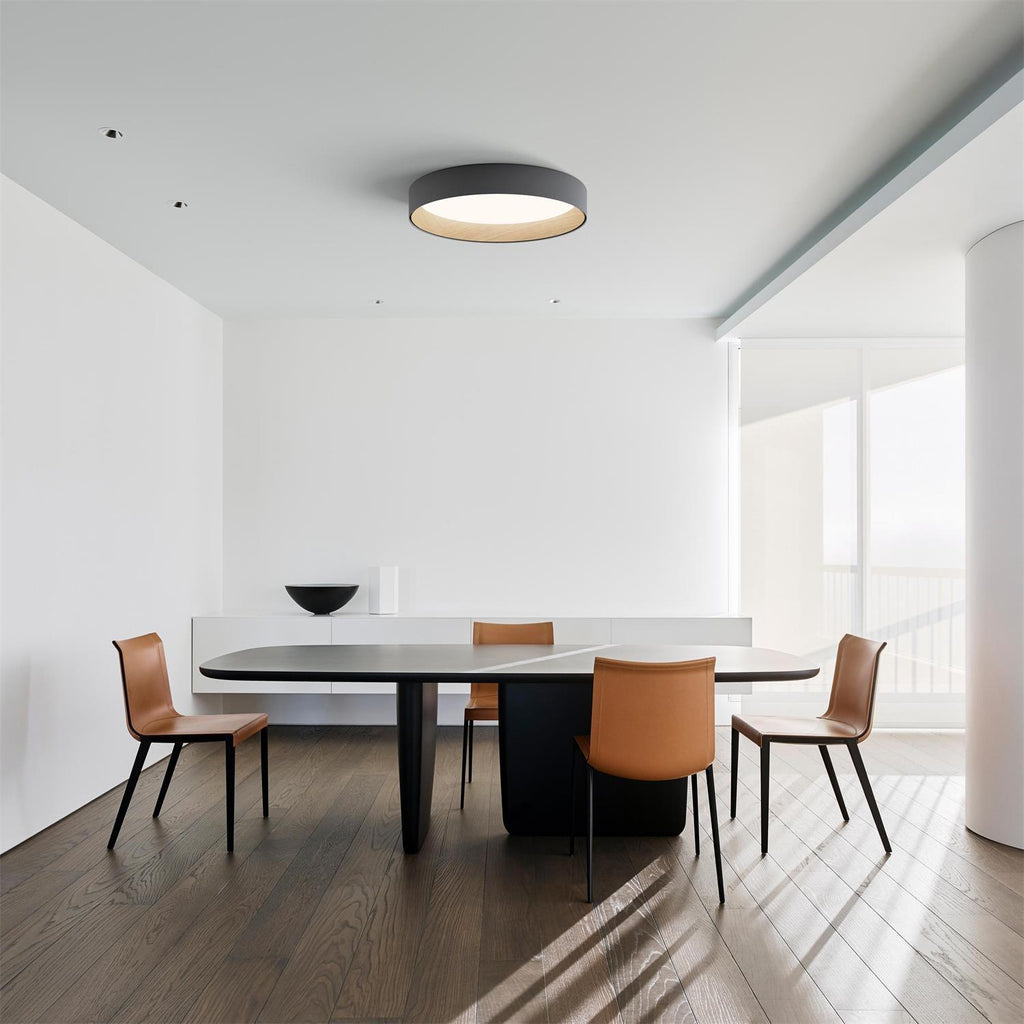 Elvenis Plafonnier Rond Moderne Minimaliste - Neutralighting