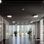 Elvenis Plafonnier Rond Moderne Minimaliste - Neutralighting