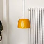 Roxboro Lampe Suspendue en Forme de Dôme Brillant - Neutralighting