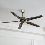 Vosolara Plafonnier Ventilateur Premium - Neutralighting